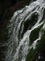 Voir l'image Bra08550-iguacu_argentin--LD--IMG_6418.JPG : 