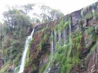 Voir l'image Bra08560-iguacu_argentin--KM--IMG_1081.JPG : 