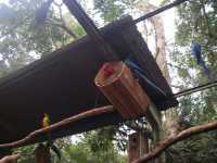 Voir l'image Bra09220-iguacu_oiseau----GM--IMGP1435.JPG : 