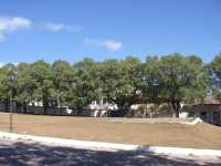 Voir l'image Bra09760-goias------------GM--IMGP1612.JPG : 