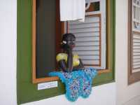 Voir l'image Bra10020-goias------------GM--IMGP1641.JPG : 