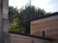 Voir l'image Bra10070-goias------------GM--IMGP1644.JPG : 