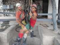 Voir l'image Bra11980-Ceres------------GM-Photo_041.jpg : 