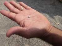 Voir l'image Bra12070-Ceres------------GM-Photo_059.jpg : 