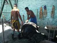 Voir l'image Bra12140-Ceres------------GM-Photo_076.jpg : 