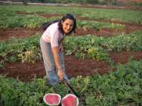 Voir l'image Bra12220-Ceres------------GM-Photo_111.jpg : 