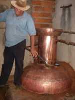 Voir l'image Bra12360-Ceres------------GM-Photo_165.jpg : 