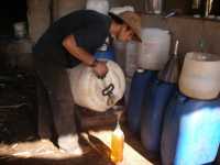 Voir l'image Bra12430-Ceres------------GM-Photo_175.jpg : 