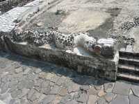 Voir l'image 01_01_00150.Mexico_Ville.IMG_0954.JPG : 