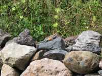 Voir l'image 01_03_00110.Mexico_teotihuacan.IMG_0839.JPG : 