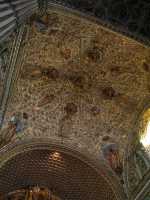 Voir l'image 04_01_00160.Oaxaca_Ville.IMG_1446.JPG : 