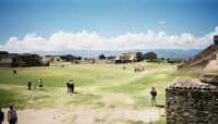 Voir l'image 04_02_00040.Oaxaca_Monte-Alban.F1000002.JPG : 