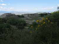 Voir l'image 04_02_00190.Oaxaca_Monte-Alban.IMG_1316.JPG : Coté ouest : Monticule M et système IV
