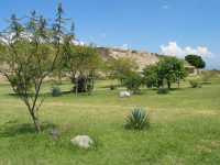 Voir l'image 04_02_00290.Oaxaca_Monte-Alban.IMG_1348.JPG : 