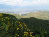 Voir l'image 04_02_00420.Oaxaca_Monte-Alban.IMG_1321.JPG : 