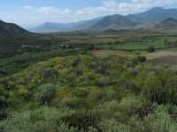 Voir l'image 04_04_00060.Oaxaca_Yagul.IMG_1557.JPG : 