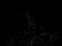 Voir l'image 05_01_00060.Tehuatepec_Ville.IMG_1577.JPG : 