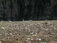 Voir l'image 06_01_00170.Tuxtla-Guetierrez_Canon-del-sumidero.IMG_1628.JPG : 