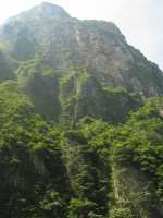 Voir l'image 06_01_00200.Tuxtla-Guetierrez_Canon-del-sumidero.IMG_1637.JPG : plus de 1 000 m ça calme bien