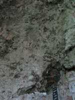 Voir l'image 06_01_00240.Tuxtla-Guetierrez_Canon-del-sumidero.IMG_1652.JPG : 