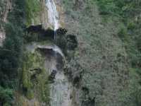 Voir l'image 06_01_00300.Tuxtla-Guetierrez_Canon-del-sumidero.IMG_1661.JPG : Une cascade