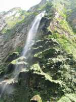 Voir l'image 06_01_00380.Tuxtla-Guetierrez_Canon-del-sumidero.IMG_1689.JPG : Le sapin de noël (800m de haut)