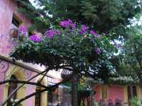 Voir l'image 07_01_00040.San-Christobal-de-las-casas_Ville.IMG_1700.JPG : 