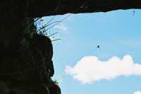 Voir l'image 07_02_00050.San-Christobal-de-las-casas_Tonina.F1020008.JPG : 