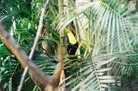 Voir l'image 08_01_00020.Palenque_Ville.F1090003.JPG : 