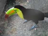 Voir l'image 08_01_00040.Palenque_Ville.IMG_2022.JPG : 