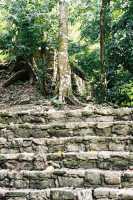 Voir l'image 08_02_00190.Palenque_Palenque.F1100023.JPG : 
