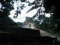 Voir l'image 08_02_00270.Palenque_Palenque.IMG_1909.JPG : 