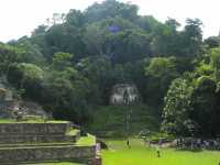 Voir l'image 08_02_00300.Palenque_Palenque.IMG_1923.JPG : Le temple de la croix foliée