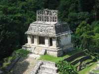 Voir l'image 08_02_00380.Palenque_Palenque.IMG_1952.JPG : Le temple du soleil