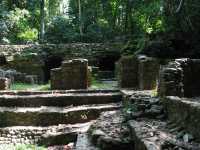 Voir l'image 08_02_00420.Palenque_Palenque.IMG_1968.JPG : 