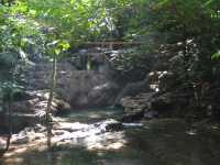 Voir l'image 08_02_00430.Palenque_Palenque.IMG_1971.JPG : 