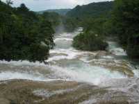 Voir l'image 08_03_00090.Palenque_Agua-Azul.IMG_2062.JPG : 