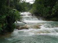 Voir l'image 08_03_00100.Palenque_Agua-Azul.IMG_2065.JPG : 