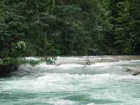 Voir l'image 08_03_00110.Palenque_Agua-Azul.IMG_2068.JPG : 