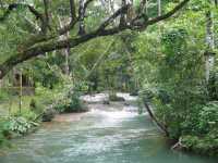 Voir l'image 08_03_00130.Palenque_Agua-Azul.IMG_2077.JPG : 