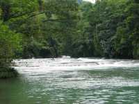 Voir l'image 08_03_00140.Palenque_Agua-Azul.IMG_2080.JPG : 