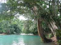 Voir l'image 08_03_00150.Palenque_Agua-Azul.IMG_2083.JPG : 