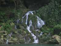 Voir l'image 08_04_00050.Palenque_Mizol-Ha.IMG_2099.JPG : 