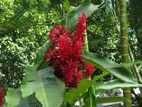 Voir l'image 08_04_00100.Palenque_Mizol-Ha.IMG_1965.JPG : 