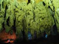 Voir l'image 10_03_00070.Uxmal_Las-Grutas-de-Loltun.IMG_2463.JPG : 