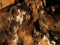 Voir l'image 10_03_00130.Uxmal_Las-Grutas-de-Loltun.IMG_2482.JPG : 