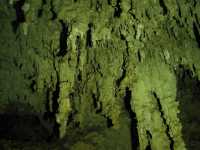 Voir l'image 10_03_00180.Uxmal_Las-Grutas-de-Loltun.IMG_2510.JPG : 