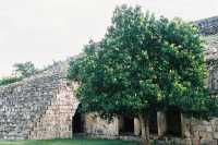 Voir l'image 10_04_00040.Uxmal_Kabah.F1040002.JPG : 