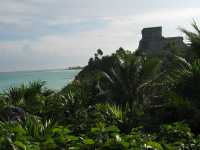 Voir l'image 12_02_00070.Cancun_Tulum.IMG_2782.JPG : 