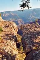 Voir l'image 2GC020ok100-07.jpg : 